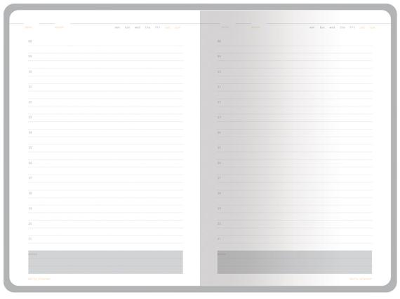 Ежедневник недатированный А5 «Mercury»